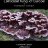 Corticioid fungi of Europe vol 1
