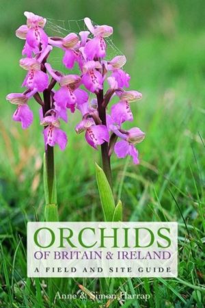 Orchids of Britain and Ireland