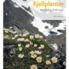 Fjellplanter