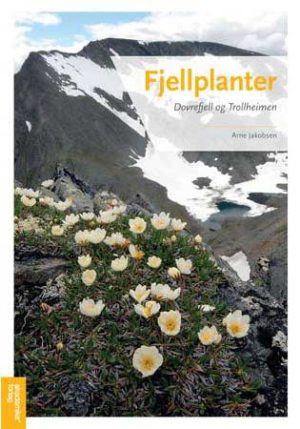 Fjellplanter