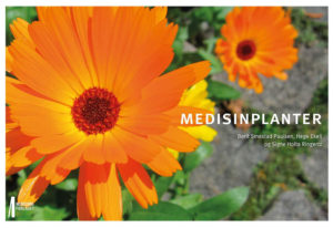 Medisinplanter