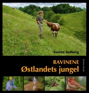 Ravinene – Østlandets jungel