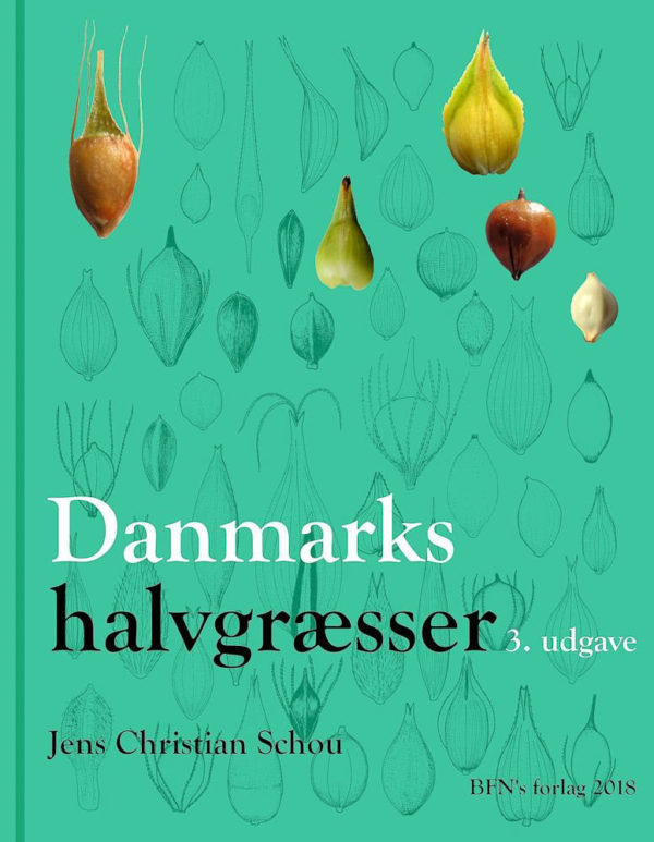 Danmarks halvgræsser