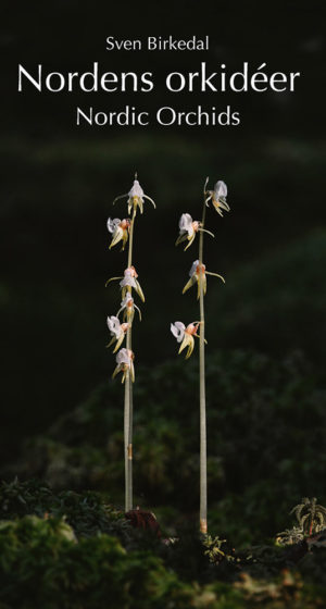 Nordens orkidéer