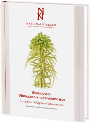 Bladmossor: Vitmossor – knappnålsmossor: Bryophyta: Sphagnum–Tetrodontium