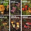 Fungi of Switzerland vol.1-6 set