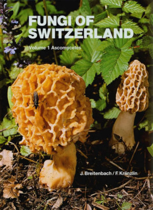 Fungi of Switzerland vol.1.