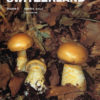 Fungi of Switzerland vol.5.
