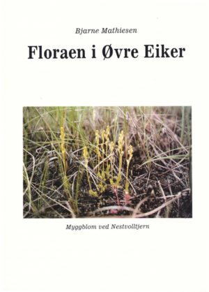 Floraen i Øvre Eiker