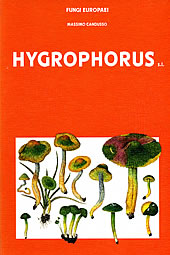 Fungi Europaei Vol. 6