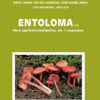 Fungi Europaei Vol. 5b