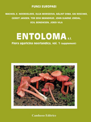 Fungi Europaei Vol. 5b