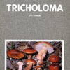 Fungi Europaei Vol. 3a