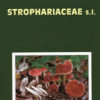 Fungi Europaei Vol. 13