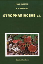 Fungi Europaei Vol. 13