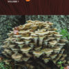 Fungi of Temperate Europe