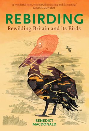 Rebirding: Rewilding Britain and its Birds