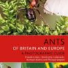 Ants of Britain and Europe