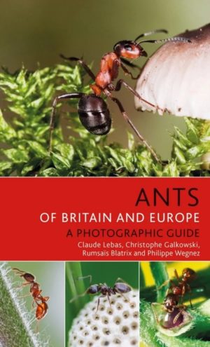 Ants of Britain and Europe