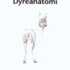 Dyreanatomi