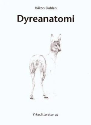 Dyreanatomi