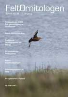 Feltornitologen - Årbok 2008
