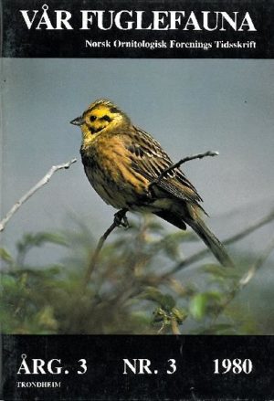 Vår Fuglefauna - 1980-3, årgang 3