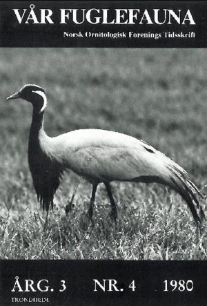 Vår Fuglefauna - 1980-4, årgang 3