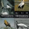 Vår Fuglefauna - 1980- hele årgang 3