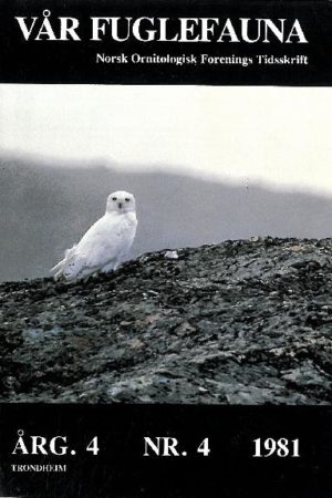 Vår Fuglefauna - 1981-4, årgang 4