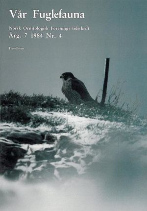 Vår Fuglefauna - 1984-4, årgang 7