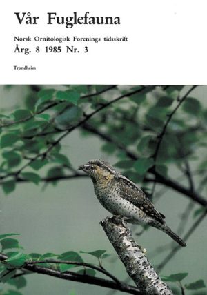 Vår Fuglefauna - 1985-3, årgang 8