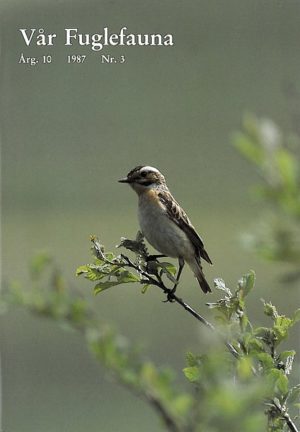 Vår Fuglefauna - 1987-3, årgang 10