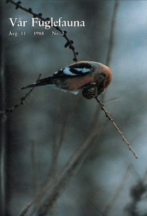 Vår Fuglefauna - 1988-2, årgang 11