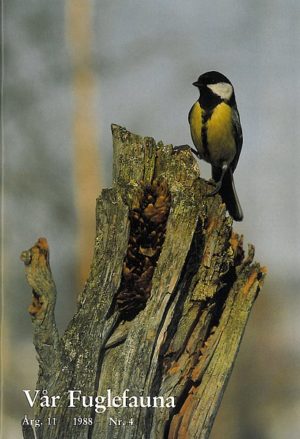 Vår Fuglefauna - 1988-4, årgang 11