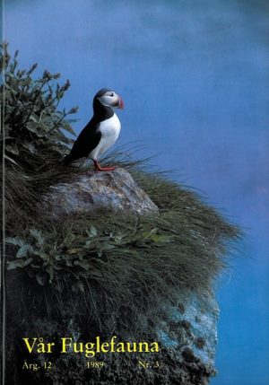 Vår Fuglefauna - 1989-3, årgang 12