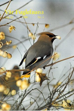 Vår Fuglefauna - 1989-4, årgang 12