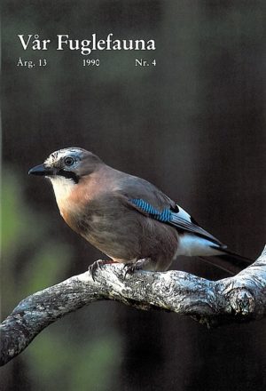Vår Fuglefauna - 1990-4, årgang 13