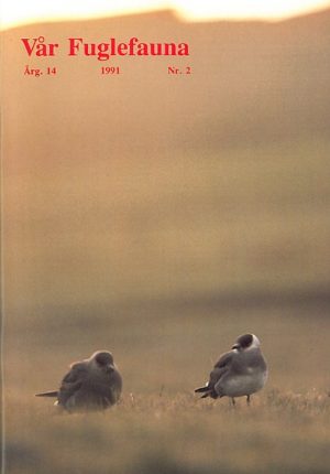 Vår Fuglefauna - 1991-2, årgang 14