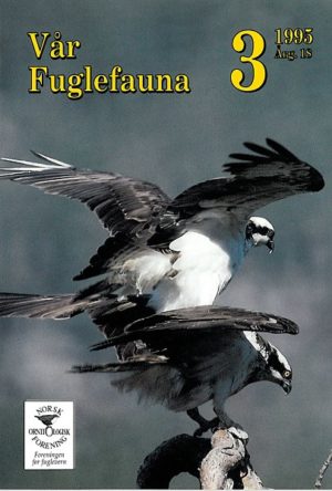 Vår Fuglefauna - 1995-3, årgang 18