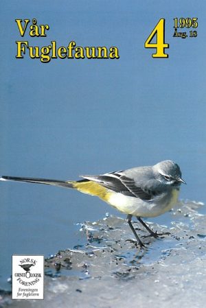 Vår Fuglefauna - 1995-4, årgang 18