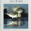 Vår Fuglefauna - 1996-3, årgang 19