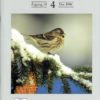 Vår Fuglefauna - 1996-4, årgang 19