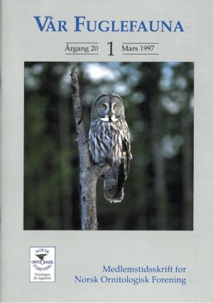 Vår Fuglefauna - 1997-1, årgang 20