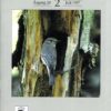 Vår Fuglefauna - 1997-2, årgang 20