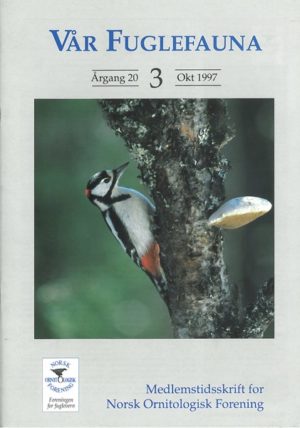 Vår Fuglefauna - 1997-3, årgang 20