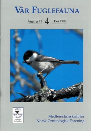 Vår Fuglefauna - 1998-4, årgang 21