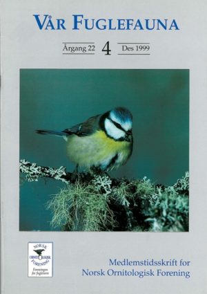 Vår Fuglefauna - 1999-4, årgang 22