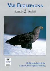Vår Fuglefauna - 2000-3, årgang 23