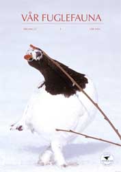 Vår Fuglefauna - 2004-1, årgang 27